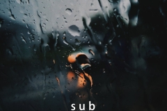 Subsignal - A Room on the Edge of Forever (Digital Single 2022)